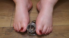 #1 BBW feet playing with your cage in old torn black stockings (no talking)