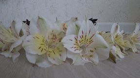 Crushed the flowers with summer flip flops bb