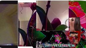 Gully Wompus Solo boy masturbation video for girls