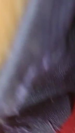 Bangladeshi Village Girlfriend Romantic Video