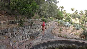 Naked walk in cactus park