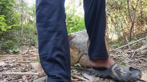 Solo jerking in the woods small dick but hard