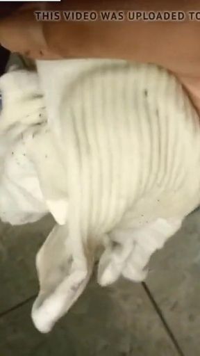 Dirtyjunkbro Pisses in the Bathroom, but Not Where to Piss......