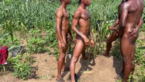 Best Part of the Jungle Boys