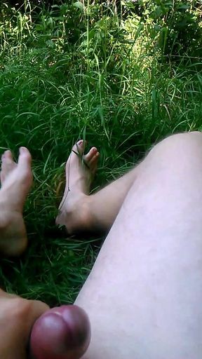 yerk in the forest
