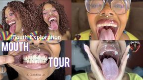 2025 Mouth Tours in 25 Mins
