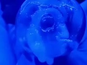 Praise the pocket pussy