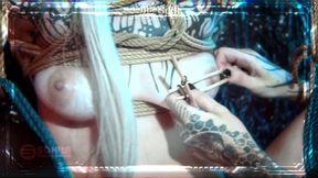 Cyborg sex slave gets licked and fucked by master's toys