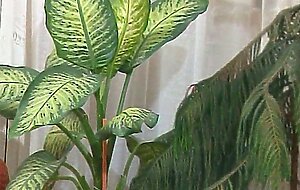 Juliareaves-salsa - private linie 11 - scene 1