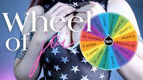 Wheel Of JOI