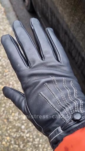 A couple of tiny snowflakes on my leather gloves
