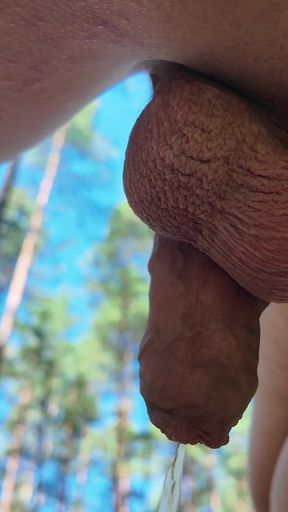 Exy Trans Pee at the Forest