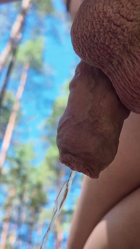 Exy Trans Pee at the Forest