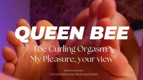 Toe Curling Orgasm: My Pleasure, your view