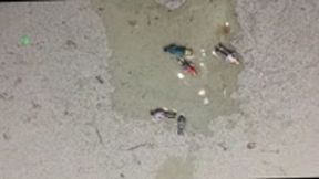 Giantess Peeing on Tiny Humans