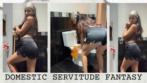 Domestic Servitude Fantasy