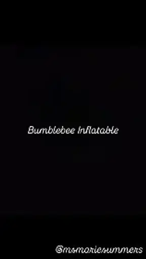 Bumblebee Inflation
