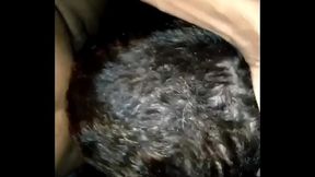 VAI MAMAR O BONDE TODO