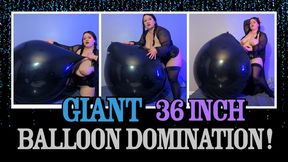 Custom Giant 36" Inch Balloon Domination 6 Pops!