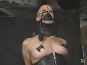 Infernal Restraints - Bald