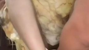 andini viral ngentot di link bocil sempit