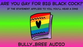 Are You Gay For BBC? Audio