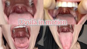 My uvula very very close to you