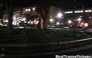 Real tranny pickups