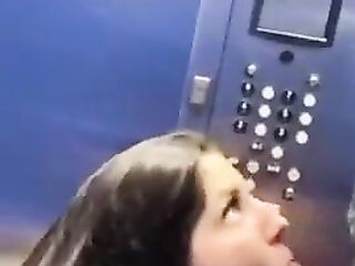 stranger sucks my cock in the elevator