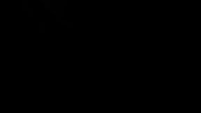 MVI 0684.MOV