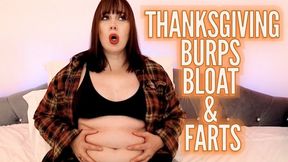 Thanksgiving Burps, Bloat, & Farts WMV