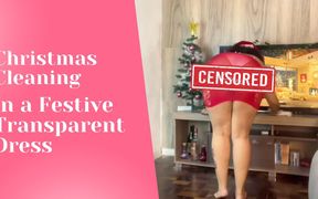 BBW Christmas Cleaning in a Festive Transparent Dress