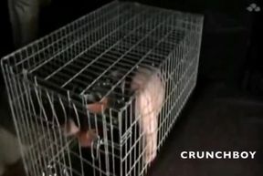 Hard BDSM and bondage experience