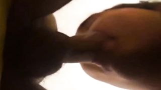 MAMA CACHORRA MAMA CACHORRA