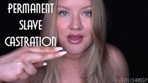 Permanent Slave Castration - WMV