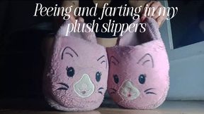 Peeing and farting in my plush slippers