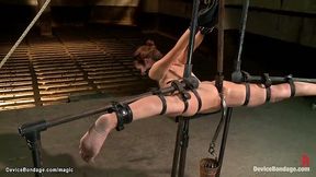 Rough lesbian action with dildo and hook
