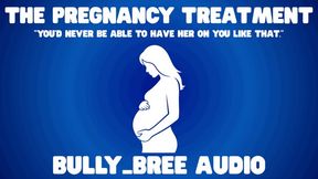 The Pregnancy Treatment Audio