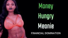 Money Hungry Meanie