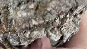 Fucking A Hole In A Tree Again Censored Version