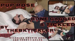 Pup Rose Bone Gagged & Tickled By TheBKTickler- Starring Smokin Rose and TheBKTickler