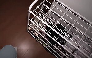 Kriss kiss, husband came home late and begs forgiveness with his big cock in my mouth and pussy