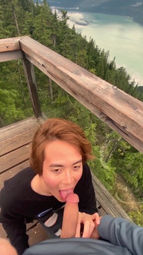 Blow Job with a View
