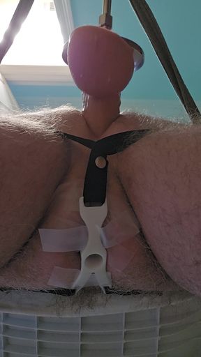 Sissy training, chastity negative inversion cage and a fuck machine