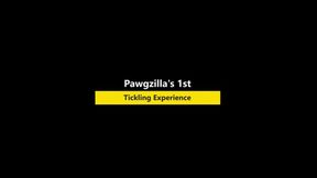 Pawgzilla's 1st Tickling Experience (1080p)