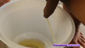 Beautiful ebony trans girl pees