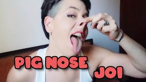 PIG NOSE FETISH JOI