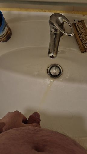 Pissing in the sink - who provides his mouth