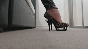 POV Shoe and Foot Worship (MOV)