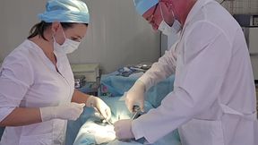 The doctor fucked a nurse with big tits